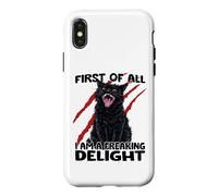 Goblin cat black cat sarcasm zoomies chaos cat Case for iPhone X/XS