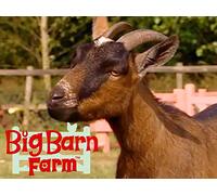 Gobo's Imaginary Friend