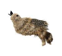 GoCat Da Birdie
