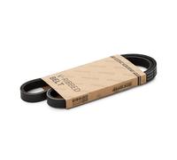 goCORE GCC050020 Serpentine belt