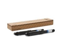goCORE GCH540102 Shock absorber