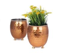 GoCraft Set of 2 Succulent Planter Pots - Small Hammered Copper Mule Mug Style Pots for Cactus, Herbs, Indoor Plants - Decorative Window Box Containers for Home, Office, Desk & Tabletop Décor