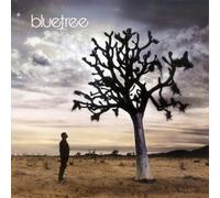 Bluetree - God of This City