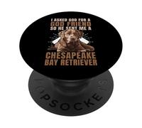 God Sent Me A Chesapeake Bay Retriever Dog Owner PopSockets Adhesive PopGrip