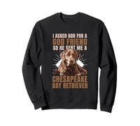 God Sent Me A Chesapeake Bay Retriever Dog Owner Sweatshirt