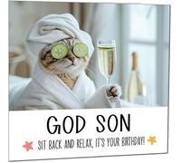 God Son Birthday Card - Sit back and Relax Cat Spa - Funny Birthday Cards for God Son