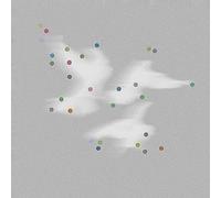 Godblesscomputers - Faded Views [VINYL]