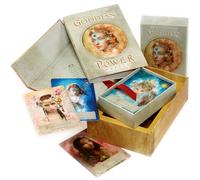 Goddess Power Oracle (Deluxe Keepsake Edition): Deck and Guidebook