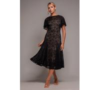 Goddiva Flutter Sleeve Lace A-Line Midi Dress - Black by Goddiva - Black - 10