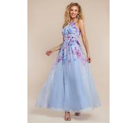 Goddiva Women's Floral Printed Chiffon Halter Maxi Dress in Light Blue | Size: 18 Goddiva Light Blue 18