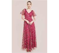 Goddiva Women's Flutter Sleeve Floral Embroidered Maxi Dress in Wine | Size: 8