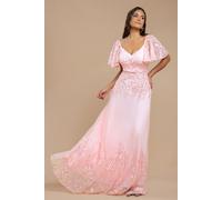 Goddiva Women's Lace Flutter Sleeve Embroidered Mesh A Line Maxi Dress in Pink | Size: 12 Goddiva Pink 12