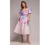 Goddiva Women's Printed Scuba Square Neck Puff Sleeve Midi Dress in Light Pink | Size: 16