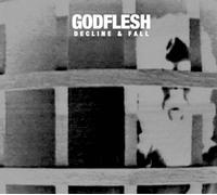 Godflesh - Decline And Fall +Bonus [Japan CD] DYMC-222
