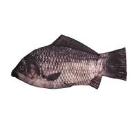 Godneei 1 Piece of Simulated Carp Fish Bags, Creative Multifunctional Pencil Case, Personalised Pencil Case, Pen Pouch, Stationery Supplies for Primary and Secondary School Students in School