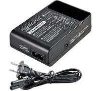 Godox Charger for V Series Battery