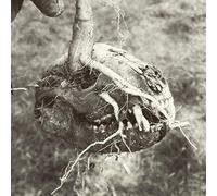 God's Bastard - Last Village Standing