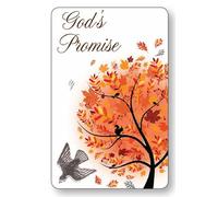 God's Promises Laminated Prayer Card with Silver Stamped Dove Motif~ Wallet Size