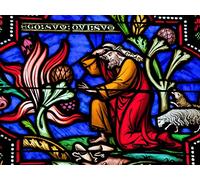 Gods Who Were Human in Ancient Judaism