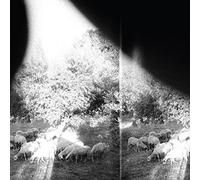 Godspeed You Black Emperor Asunder, Sweet and Other Distress (CD) Album