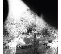 Godspeed You Black Emperor Asunder, Sweet and Other Distress (CD) Album