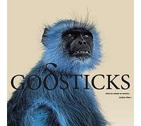 Godsticks - This Is What A Winner Looks Like