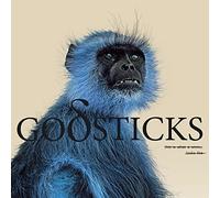 Godsticks - This Is What A Winner Looks Like [CD]