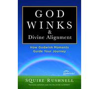 Godwinks & Divine Alignment: How Godwink Moments Guide Your Journey: Volume 4 (The Godwink Series)
