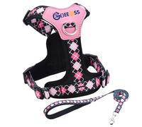 GOEEOSS No Pull Dog Harness and Leash Set, Lightweight Frame No Choke Pet Harness, Double Buckle Adjustable Dog Vest for Small Medium Dogs Puppy (Black, L)