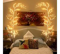 GOESWELL Wall Decor Twig Lights: 7.5TF 144 LED Willow Branches Tree Light Warm White - Twig Lights Mains Powered Artificial Grape Vines for Bedroom Living Room Christmas Home Decor