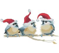 Gofission 11ct Stamped Cross Stitch Kits for Adults Beginners, Christmas Birds with Santa Hats DIY Pre Printed Cross Stitch Embroidery Set with Accessories Wall Decor 35x50cm (Birds)