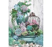 Gofission 11ct Stamped Cross Stitch Kits for Adults Beginners, Plants and Cage DIY Pre Printed Cross Stitch Embroidery Set with Accessories Wall Decor 36x46cm (Succulents)