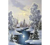 Gofission 11ct Stamped Cross Stitch Kits for Adults Beginners, Winter Landscape Snowy Forest DIY Pre Printed Cross Stitch Embroidery Set with Accessories Wall Decor 30x40cm (Lakes)