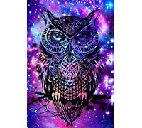 Gofission Pre Printed Cross Stitch Kits Celtic Knot Galaxy Owl, DIY 11 Count Stamped Embroidery Set 14x18 inch Fabric with Accessories Needlework Home Wall Decor (Owl)