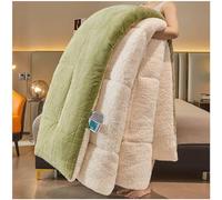 GOFOHIMI Super Warm Lamb Quilt Winter Blanket Heavy Warmth Luxury Duvet Double-Sided Velvet Quilt Thickened Warm Autumn Spring Plush Comforter Core,Green,220x240cm(5kg)