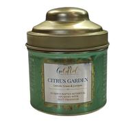 GoGiftid Gin Infusion Bags |Botanical Drink Infusion (Spiced Orange & Warm Botanicals) | Cocktail Botanicals | Spiced Orange, Cinnamon & Clove | Gift for Gin Lovers | 10 Infusion Bags (Citrus Garden)