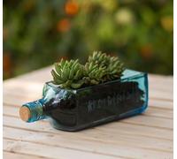 GoGiftid Upcycled Blue Glass Planter with Cocopeat & Stick Created Using Bombay Sapphire Bottle | Recycled Indoor Succulent Pot | Plant Holder | Unique Sustainable Gift for Home Décor