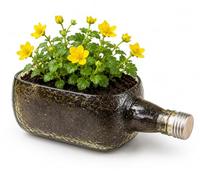 GoGiftid Upcycled Planter Created Using Old Monk Bottle | Handmade Glass Succulent & Herb Pot | Eco-Friendly Freestanding Indoor Garden Décor | Recycled Rum Plant Holder Gift