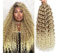 Gogo Curl Crochet Hair 14 Inch 9 Packs Ocean Wave Curly Crochet Hair for Black Women Pre-Looped Deep Wave Water Curly Braiding Extensions (27/613#, 14 Inch(9 Packs))