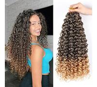 Gogo Curl Ocean Wave Crochet Hair 18 Inch 7 Packs for Black Women Water Wave Style (1B/27, 18 Inch)