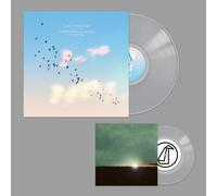 Everything Is Going To Be Ok (Deluxe Version) [VINYL]