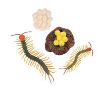 Gogogmee 1 Set Centipede Growth Cycle Educational Model Interactive Teaching Prop for Early Education and Nature Lessons Safe and Sturdy Figurines for Homeschooling Activities