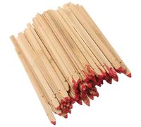 Gogogmee 100pcs Blank Bamboo Divination Sticks Chinese Fortune Telling Rods Natural Color Traditional Buddhist Fortune Supply for Temple and Astrology Use