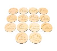 Gogogmee 14pcs Wooden Milestone Cards for Photoshoot Monthly Growth Tracker Decorative Milestone Wood Cards Newborn Photography Props