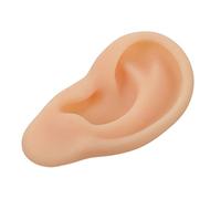 Gogogmee 1pc Ear Model for Teaching Realistic Simulation Left Ear Mold for Display and Practice Quality Educational Tool