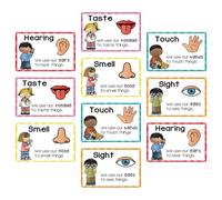 Gogogmee 2 Sets Preschool Learning Posters: Early Education Flash Cards For Kids - Preschool Card Sensory Colors Shapes Learning