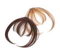 Gogogmee 2pcs Fake Bangs Hair Extensions with Natural Temples Hairpieces for Women Seamless Blend Multi-color Comfortable Hair Accessories