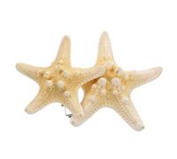 Gogogmee 2pcs Hairpin Mermaid Hair Accessories Under The Sea Hair Clips Hello Piper Wow Color Five-pointed Top Clip for Scene Real Beige Resin Random Color