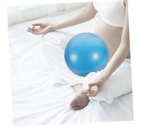 Gogogmee 2pcs Mini Pilates Ball with Pump Soft Balls for Yoga Balance Training Physical Therapy Home Workout Dual Color Purple and Blue