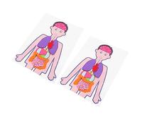 Gogogmee 2Sets Human Organs Models for Educational DIY Teaching Aid and Anatomy Playset for School Learning and Home Science Experiments